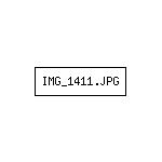 IMG_1411.JPG
